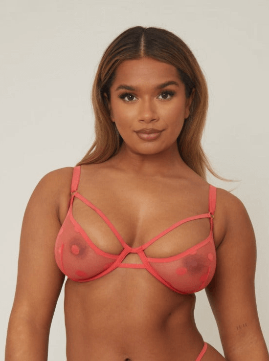 Brady Bra : Persian Red